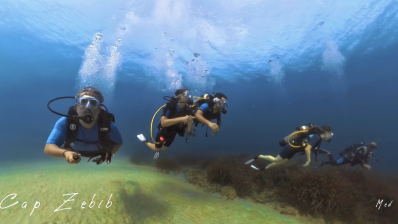 plongée sous-marine tunisie